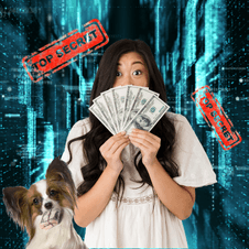 Official Logo for Super Cash Zone